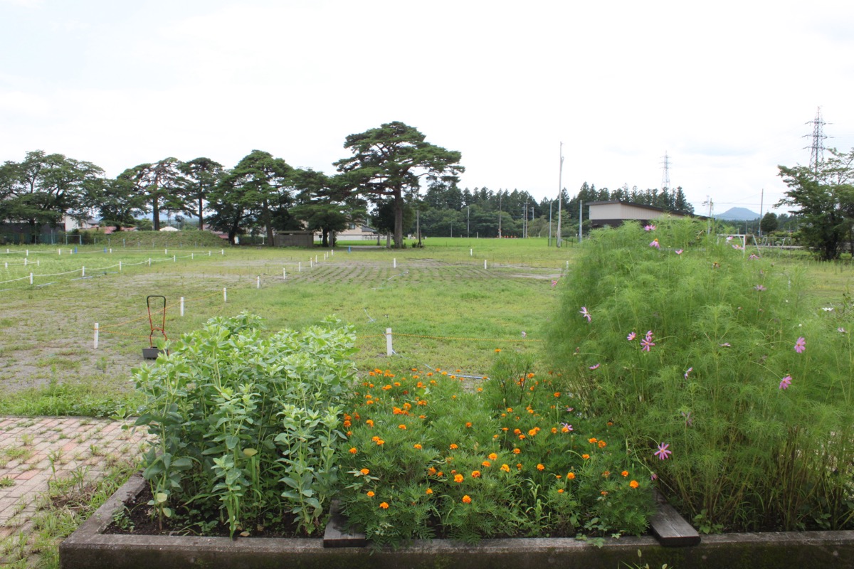 花壇広場